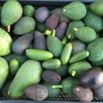 Kamagra jel satış yerleri