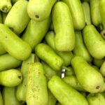 Vega 100 mg hap satış noktası