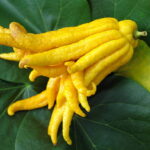 Kamagra jel eczane de kaç para