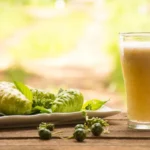 Vega hapı satın almadan önce fiyat araştırması