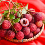 Cobra 130 mavi kırmızı fiyat