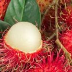 Cobra 130 mg sipariş vermek isteyen kişiler