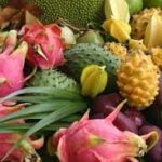 Cobra hapları satan siteler