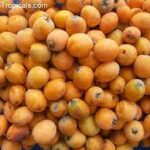 Aktarlarda satılan çin topu hapı