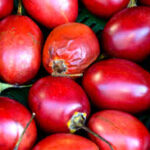 Kamagra gold hapı sipariş ver