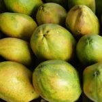 Vega 4 lü hap fiyatları