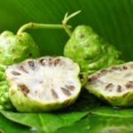 Vega extra cobra 130 mg yorumlar